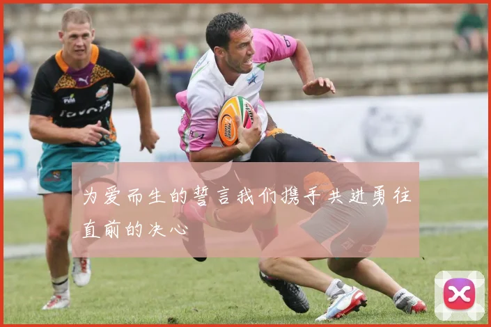 为爱而生的誓言我们携手共进勇往直前的决心