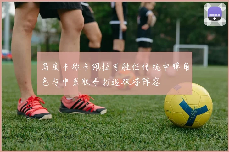 乌度卡称卡佩拉可胜任传统中锋角色与申京联手打造双塔阵容