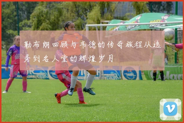 勒布朗回顾与韦德的传奇旅程从选秀到名人堂的辉煌岁月